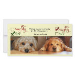 Two dog Christmas card photo template photo cards