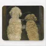 Two dogs looking in door window, rear view mouse mats