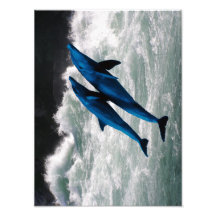 Two Dolphins Swiming at Sea Photographic Print