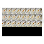 Two Dozen Roses Greeting Card