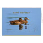 Two Ducks Birthday Card