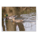 Two Ducks On A River. cards