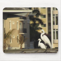 Two Egrets On A Roof Mousepads
