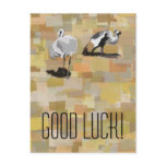 Two Egyptian Cranes Solo postcards