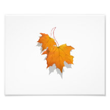 two fall leaves graphic.png photo print