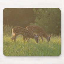 Two Fawns Grazing Mousepad