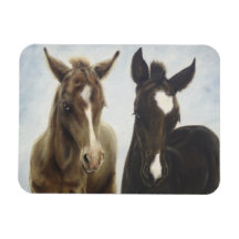 Two Foals Magnet