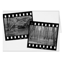 Two Frame image Greeting Card