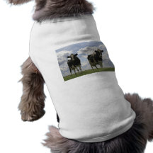 Two Friesian cows Doggie T-shirt