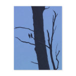 two galahs postcards