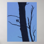 two galahs posters