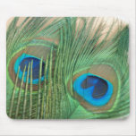 Two Golden Peacock Feathers mousepads