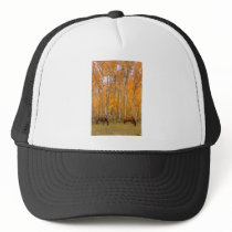 Two Grazing Horses In the Autumn
