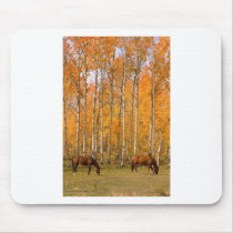 Two Grazing Horses In the Autumn