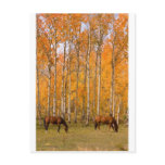 Two Grazing Horses In the Autumn