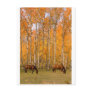Two Grazing Horses In the Autumn