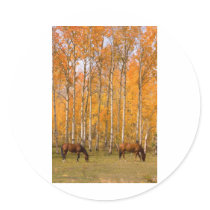 Two Grazing Horses In the Autumn