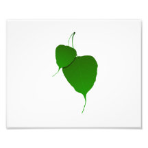 Two green leaves and stems eco image.png photo art