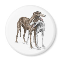 Two Greyhound Dog Friends