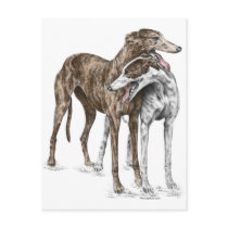 Two Greyhound Dog Friends