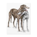 Two Greyhound Dog Friends postcards