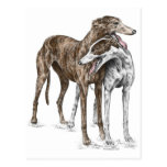 Two Greyhound Dog Friends Postcards