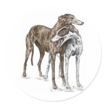 Two Greyhound Dog Friends