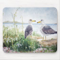 Two Gulls on the shore mousepads