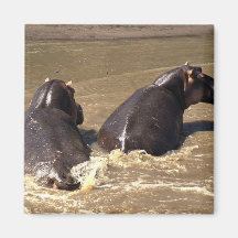 Two hippos refrigerator magnets