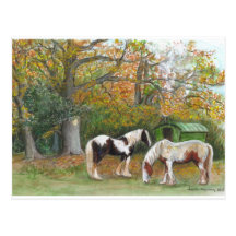 Two horses and a gypsy wagon - Postcard