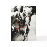 Two Horses Holiday Greeting Card