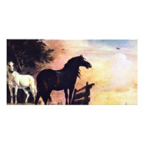 Two Horses Near A Gate In The Meadow [1]. Photo Greeting Card