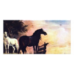 Two Horses Near A Gate In The Meadow [1]. photo cards