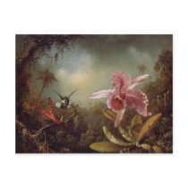 Two Humming Birds and an Orchid Post Card