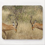 Two impalas fighting mouse pads