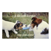 Two Jack Russell terriers Business Card Template