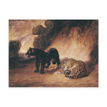 Two Jaguars from Peru Post Card