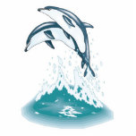 two jumping dolphins photo sculptures