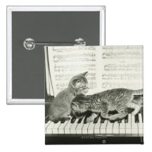 Two kitten playing on piano keyboard, (B&W) Button