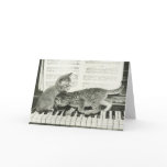 Two kitten playing on piano keyboard, (B&W) Greeting Cards
