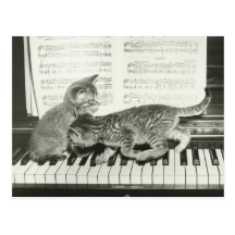 Two kitten playing on piano keyboard, (B&W) Postcards