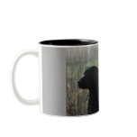 Two labs mug