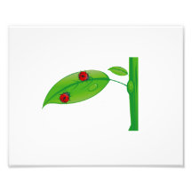 Two ladybugs on green leaf stem eco design.png art photo