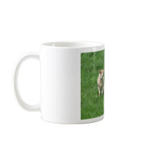Two Lambs Mug