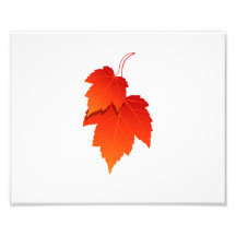 two leaves in fall colours.png photo