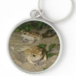 Two little toads - green frogs key chain keychains
