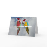Two macaw Santas Greeting Card