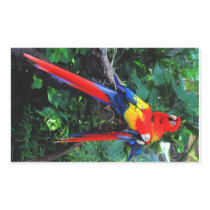 Two Macaws Stickers