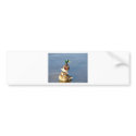 Two mallards bumper stickers