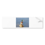 Two mallards bumper stickers